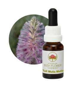 Tall Mulla Mulla, 15 ml